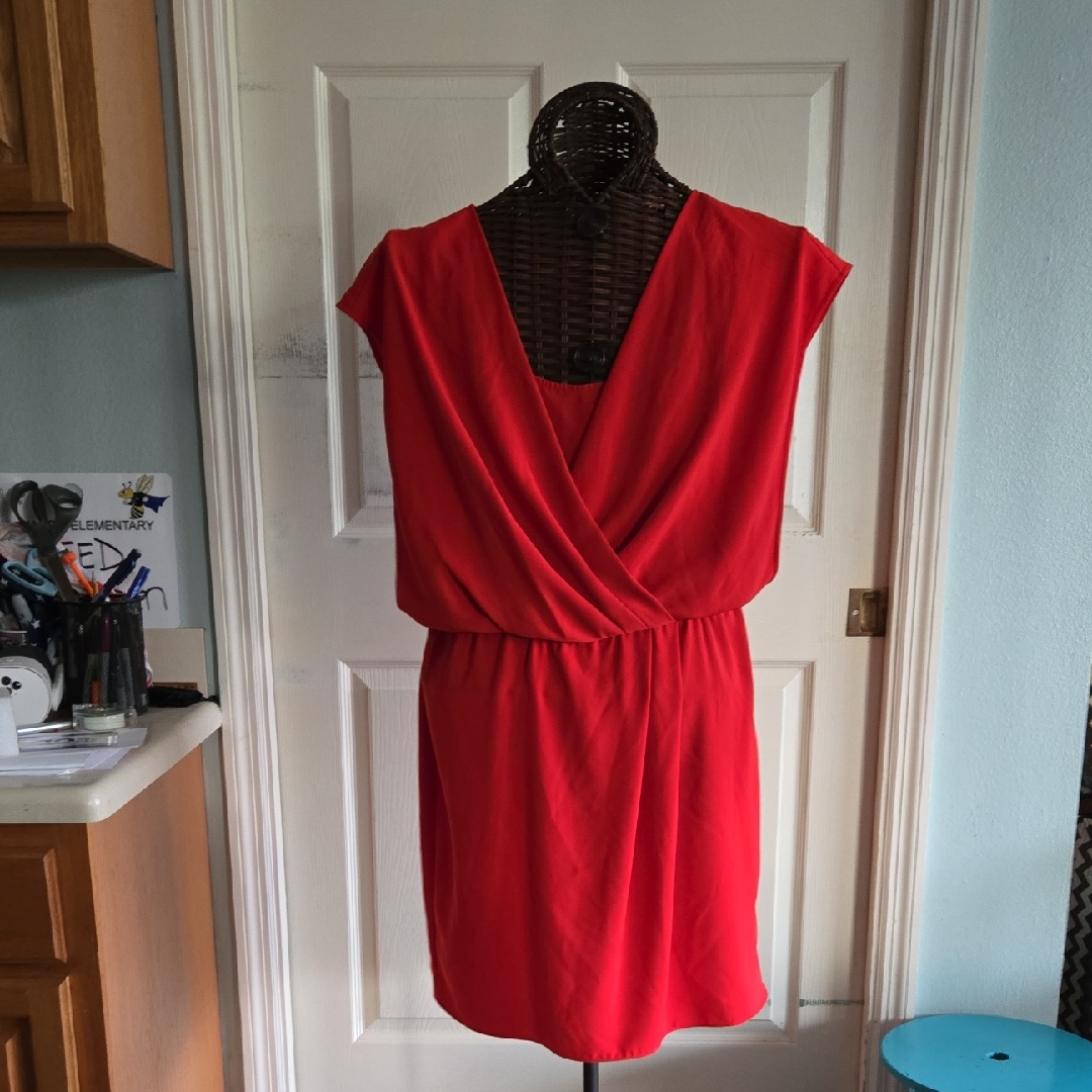 Dknyc Vibrant Red Mini Dress